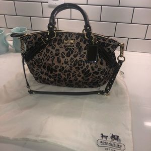 NWT Coach Madison satchel (leopard print)